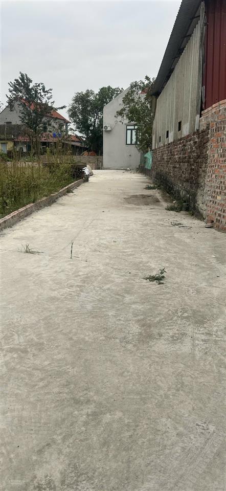 Siêu hiếm lô đất vàng
tại tdp hòa lạc phường thượng hồng tỉnh hưng yên sót lại duy nhất