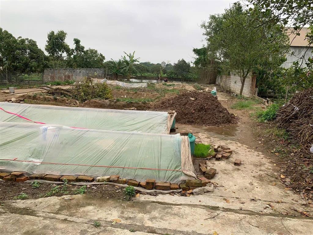 Chủ gửi lô đất lô đất tại thôn đồng minh xã đoàn đào huyện phù cừ tỉnh hưng yên diện tích