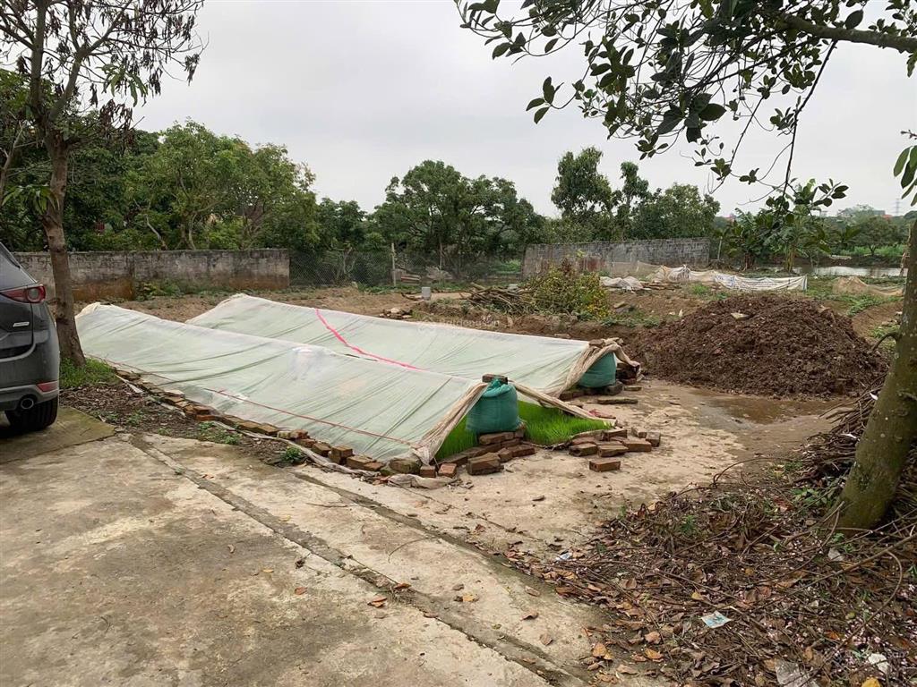 Chủ gửi lô đất lô đất tại thôn đồng minh xã đoàn đào huyện phù cừ tỉnh hưng yên diện tích