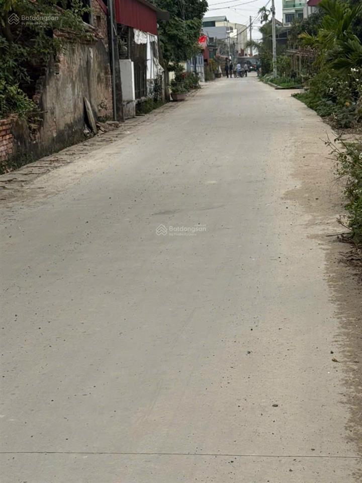 Tại đỗ mỹ bãi sậy ân thi ( cũ)
đất đấu giá diện tích 200 m2