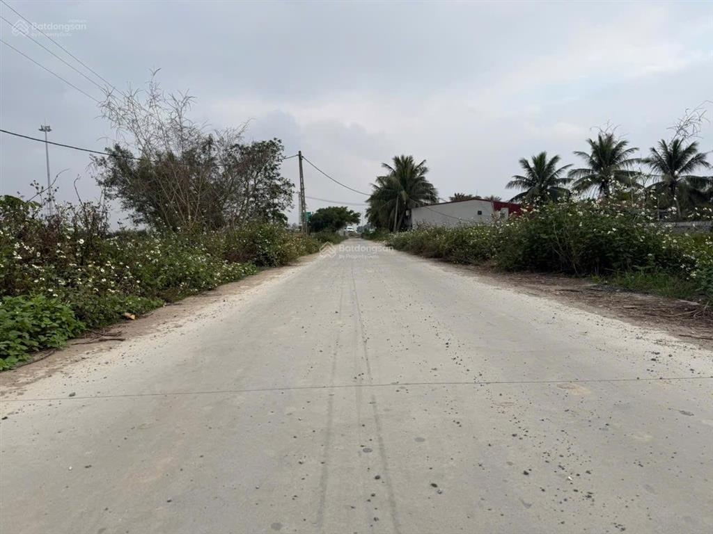 Tại đỗ mỹ bãi sậy ân thi ( cũ)
đất đấu giá diện tích 200 m2