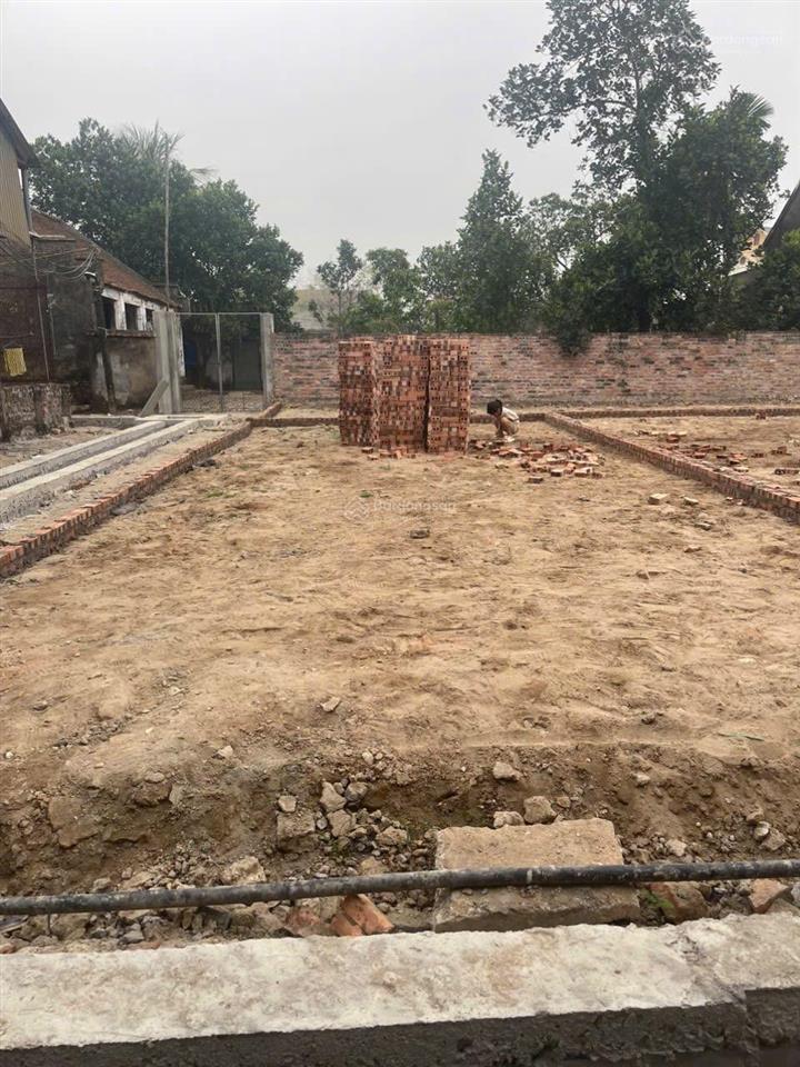 Chủ gửi lô góc hai mặt tiền tại thôn hòa lạc, xã hòa phong, thị xã mỹ hào, diện tích 56,3m2