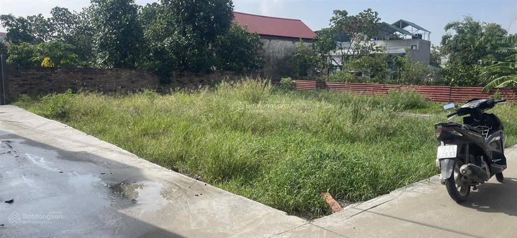 Chủ gửi lô góc hai mặt tiền tại thôn hòa lạc, xã hòa phong, thị xã mỹ hào, diện tích 56,3m2