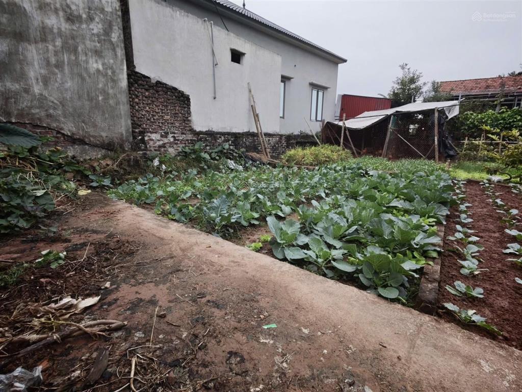 Rẻ nhất kim động cơ hội đầu tư giá tốt
đất tại thôn tả hà, hùng an diện tích 72,8m