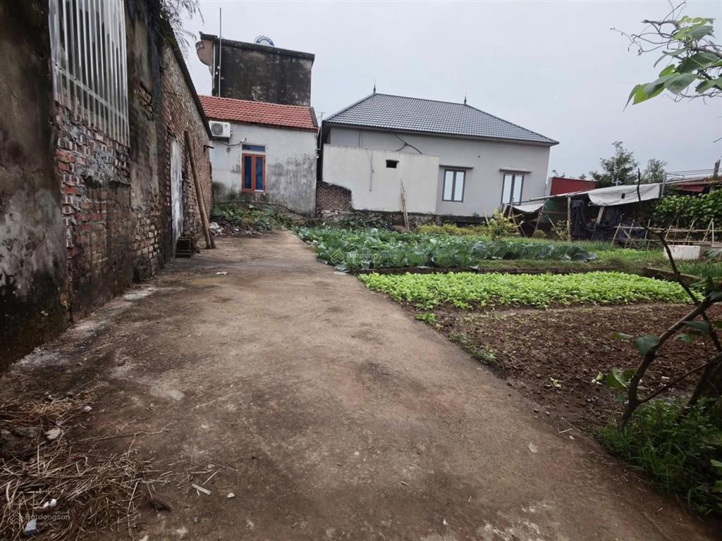 Rẻ nhất kim động cơ hội đầu tư giá tốt
đất tại thôn tả hà, hùng an diện tích 72,8m