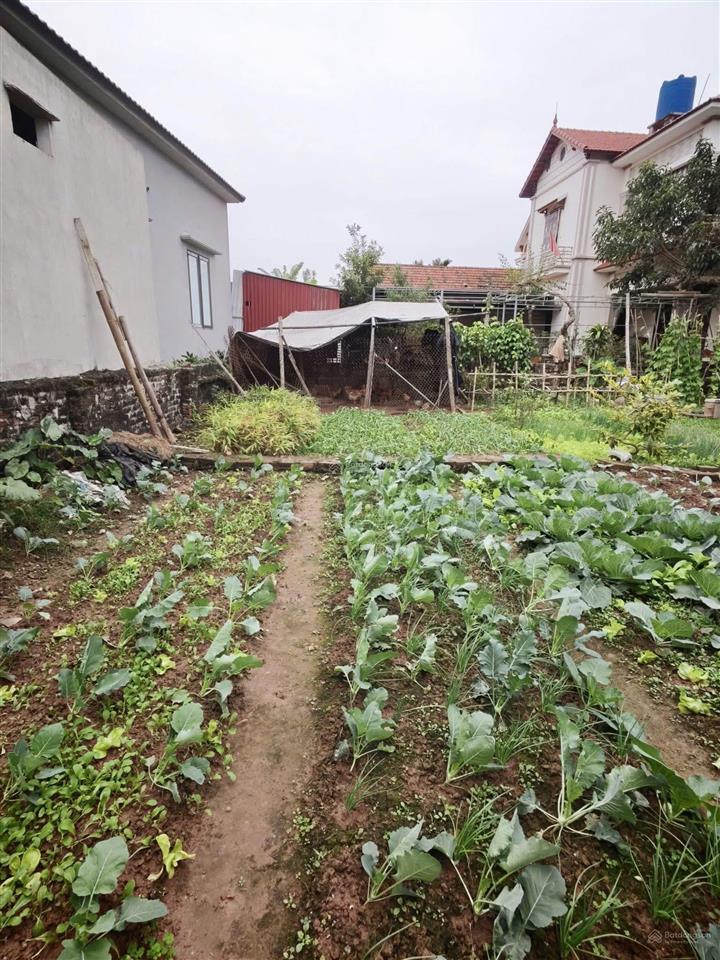 Rẻ nhất kim động cơ hội đầu tư giá tốt
đất tại thôn tả hà, hùng an diện tích 72,8m