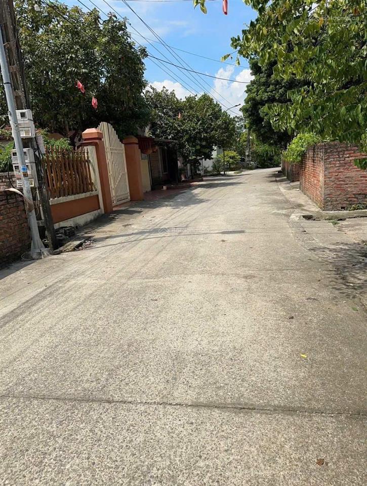 Lô đất tại xã chính nghĩa huyện kim động tỉnh hưng yên đường thông ô tô vào tận đất