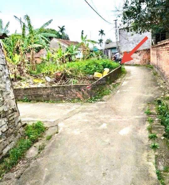 Chủ gửi áp góc hai mặt tiền tại thôn hòa lạc xã hòa phong thị xã mỹ hào diện tích 60,5 m2