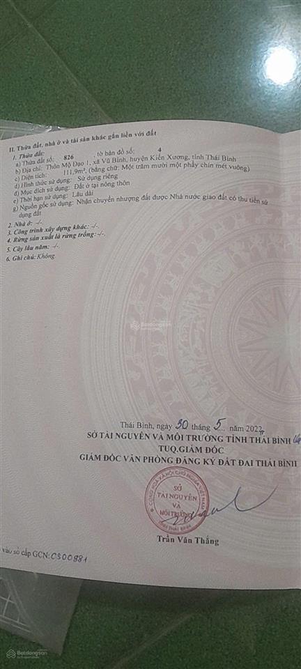 Mình có lô góc giãn dân tai mộ đạo 1 xã vũ bình huyện kiến xương thái bình cũ
diện tích 111