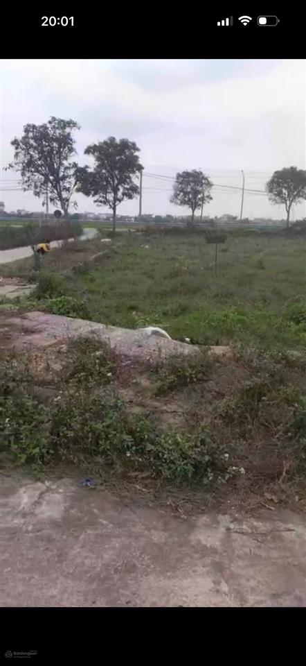 Mình có lô góc giãn dân tai mộ đạo 1 xã vũ bình huyện kiến xương thái bình cũ
diện tích 111