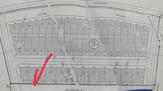 Chủ cắt lỗ đấu giá đào dương  ân thi  hưng yên (nay là xã phạm ngũ lão  tỉnh hưng yên)