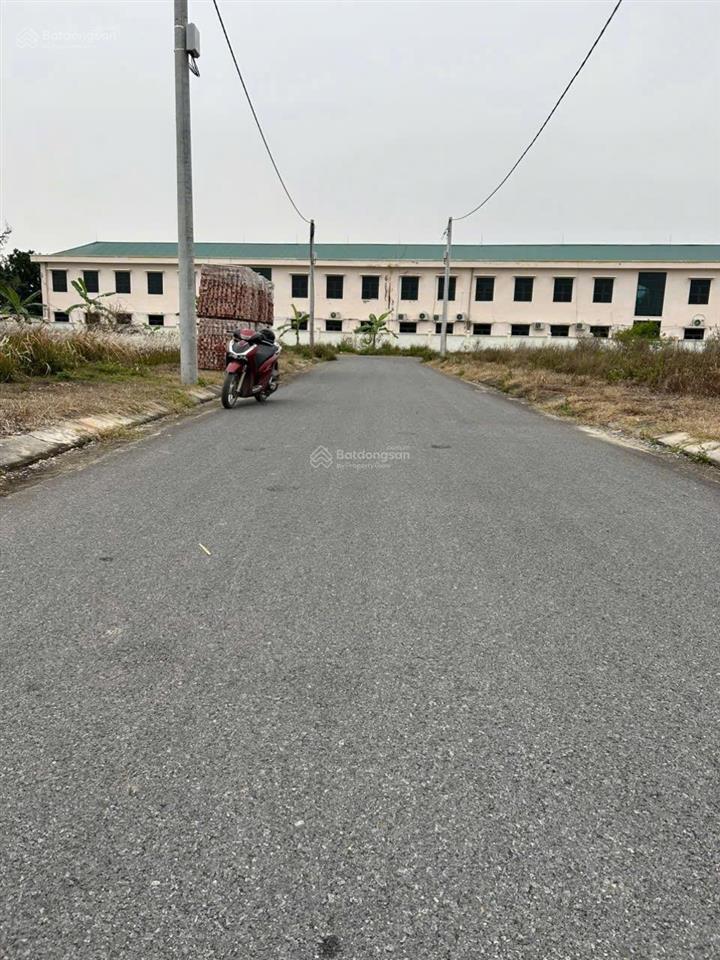 Chủ cắt lỗ đấu giá đào dương  ân thi  hưng yên (nay là xã phạm ngũ lão  tỉnh hưng yên)