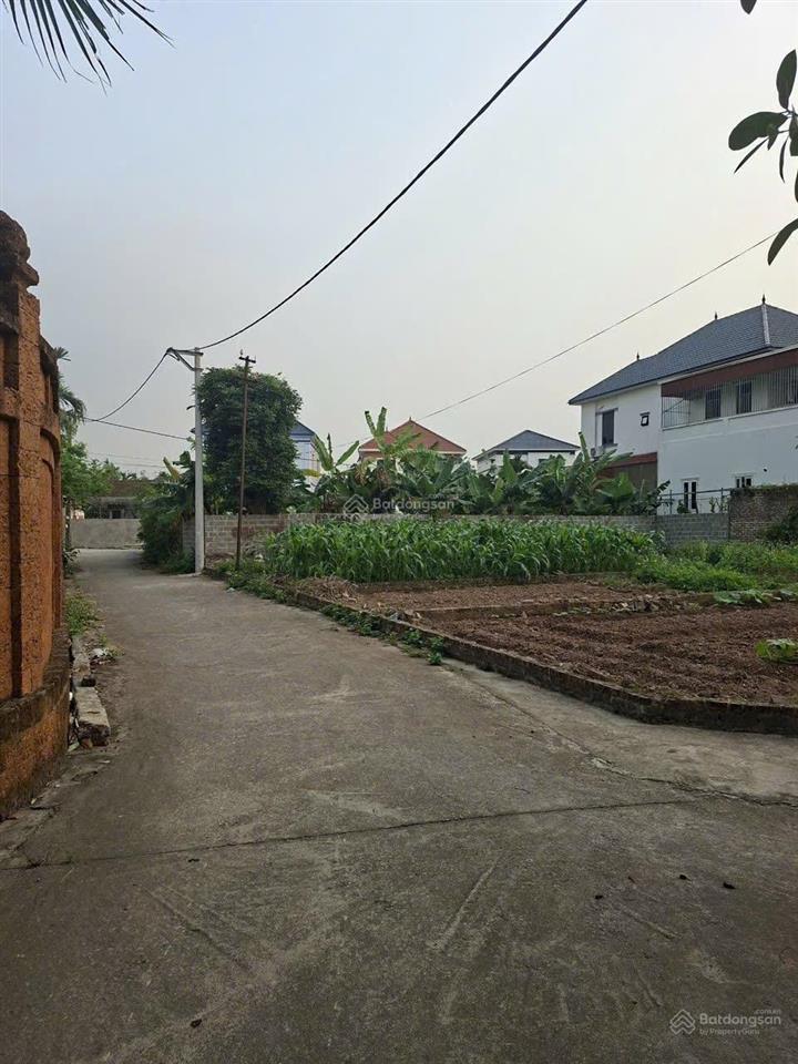 Tầm này đầu tư đất là ngon luôn toàn rẻ hơn hàng xóm cả vài trăm triệu đất tại đô thị