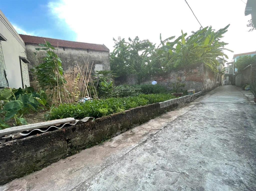 Chủ không thể gồng được nữa cắt lỗ cực sâu tại xã nguyễn huệ, huyện khoái châu, tỉnh hưng yên