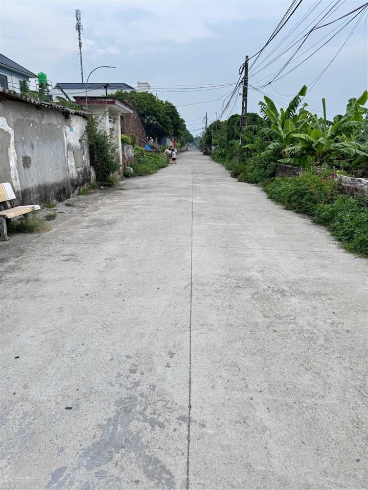 Hàng f0 chính chủ chưa ra thị trường cẩm bối liên khê khoái châu, hưng yên