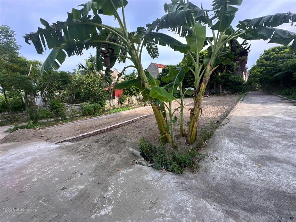Mở bán cặp đất tại hồng quang  ân thi  hưng yên tài chính công nhân. đường thông, ô tô vào.