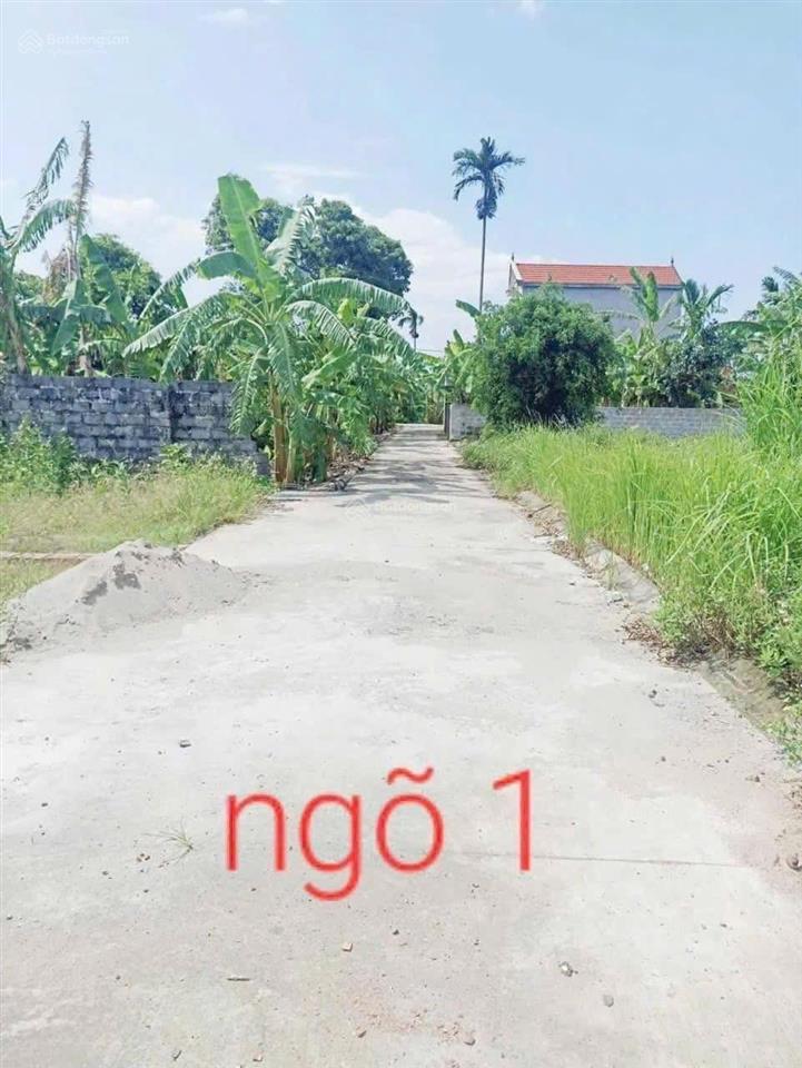 Tài chính công nhân đất kề cận ccn nam khoái châu dt 62,4m2 xã chí minh (thành công cũ)