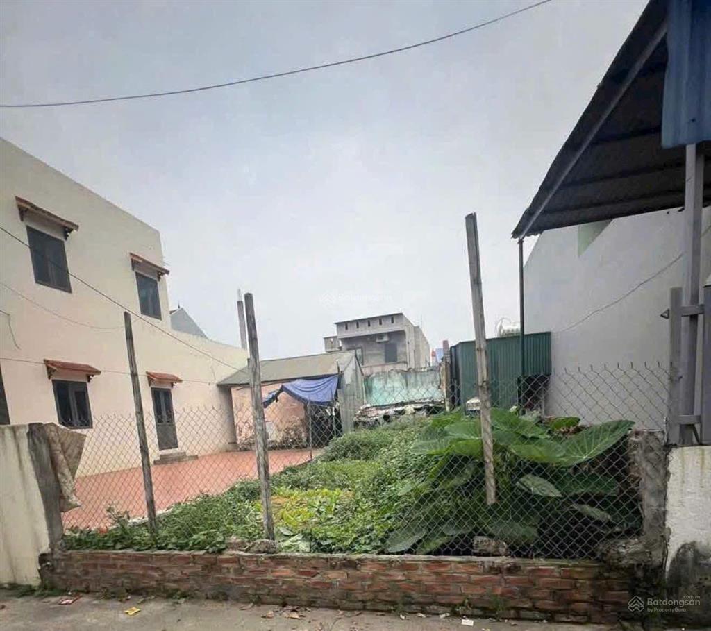 Chính chủ gửi cẩm sơn mỹ hào  hưng yên
diện tích 88m² full thổ cư
đường trước đất 4m