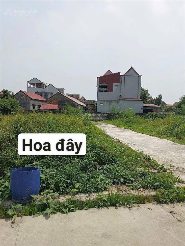 Bán gấp lô góc hoà đam  hoà phong  mỹ hào  hưng yên, diện tích 65.4m2. 2 mặt thoáng