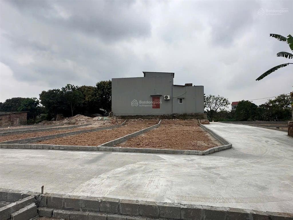Lô góc hai mặt tiền chủ cần tiền cắt lỗ tại xã tiên tiến, tỉnh hưng yên