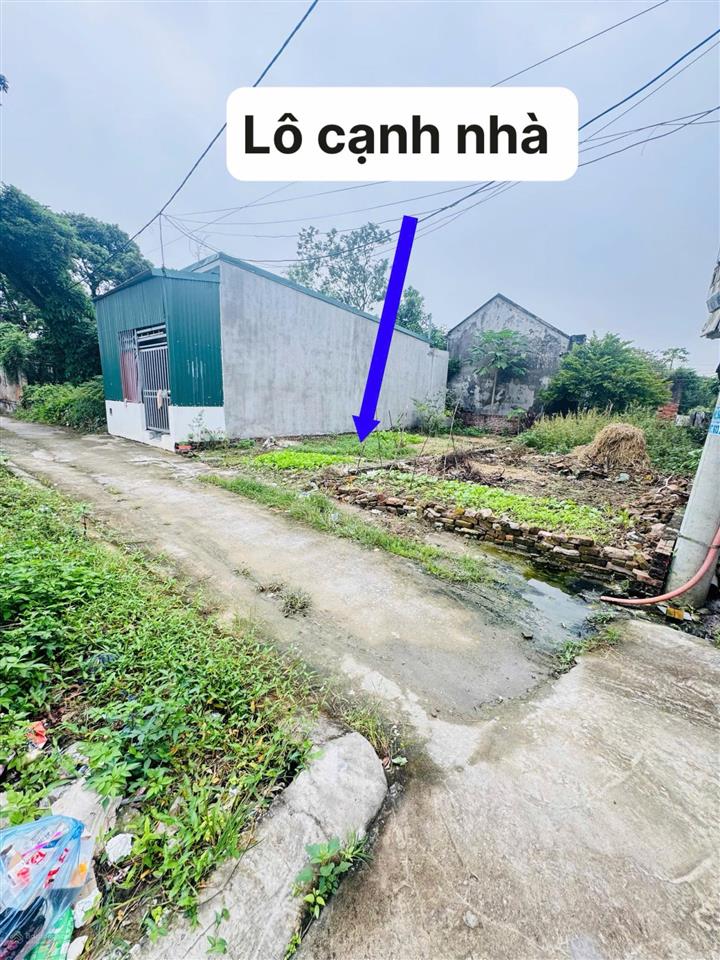 Hàng mới tinh rẻ hơn lô bên cạnh 200 triệu tại tdp vũ xá  phường thượng hồng  tỉnh hưng yên