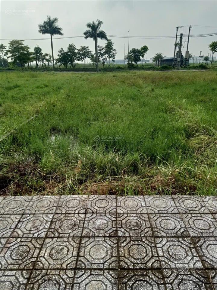 Lô lk222 thuộc dự án tiền hải star city (kdc bắc đồng đầm 1) diện tích 90m tại xã tây sơn,