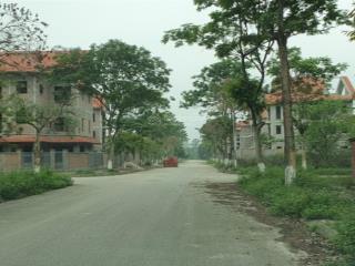 Bán bt song lập kđt quang minh, mê linh, vina2, dt 197m2, mt 10m, đường 11,5m, giá chào 77tr/m2