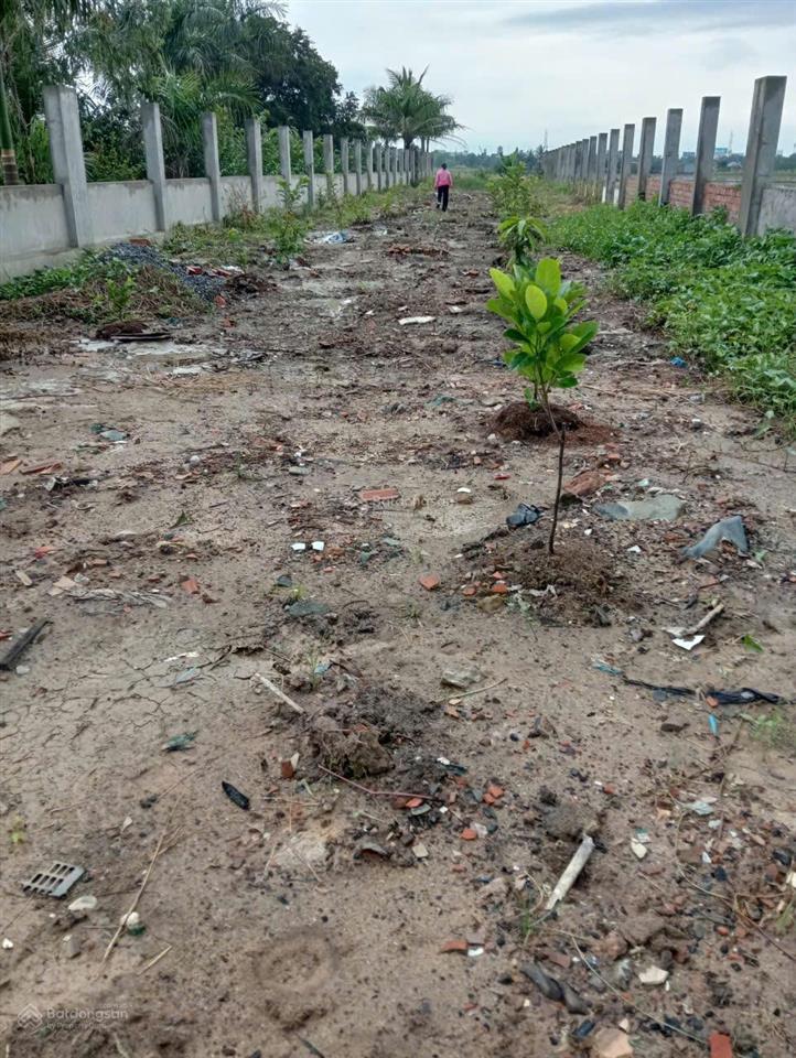 Cần bán đất gấp trả nợ ngân hàng