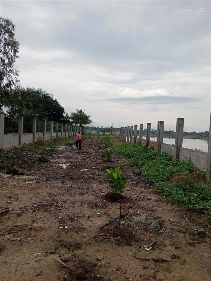 Cần bán đất gấp trả nợ ngân hàng