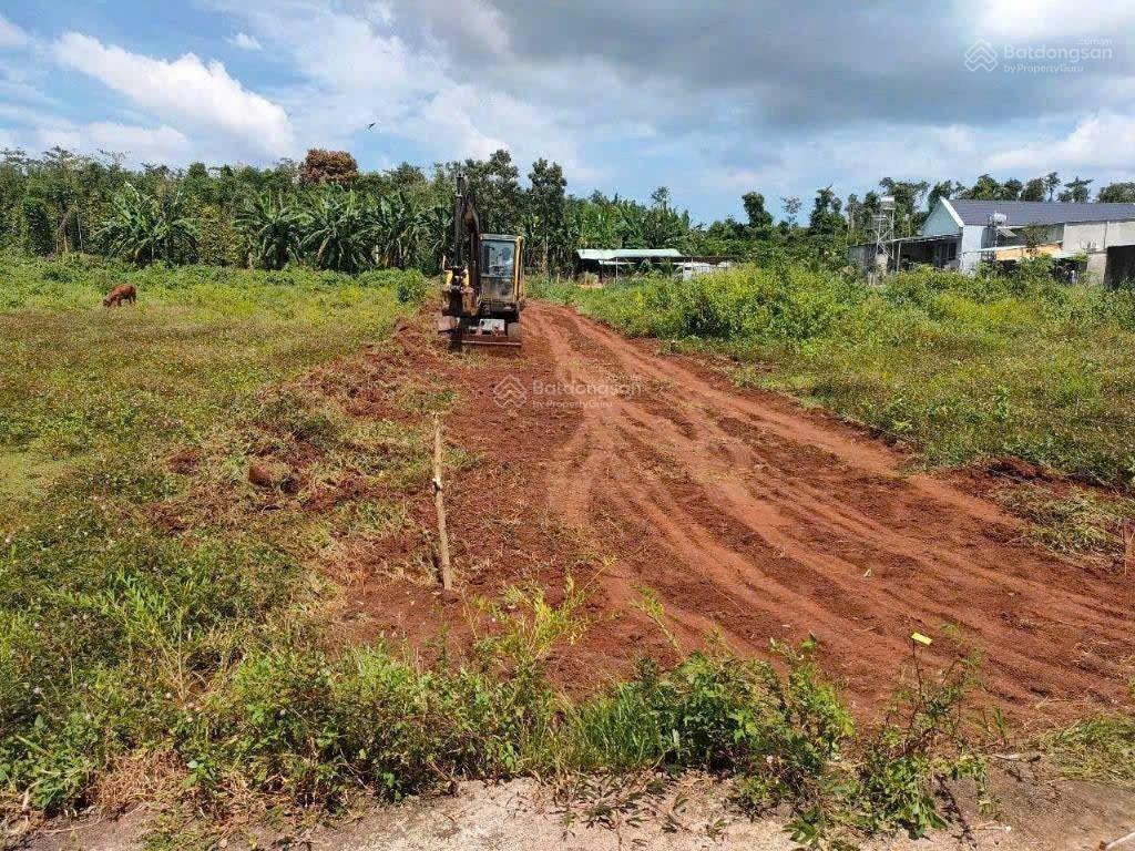 Chỉ 1,9 tỷ sở hữu 3 sổ riêng 1000  1215m2, bàu chinh, châu đức, brvt