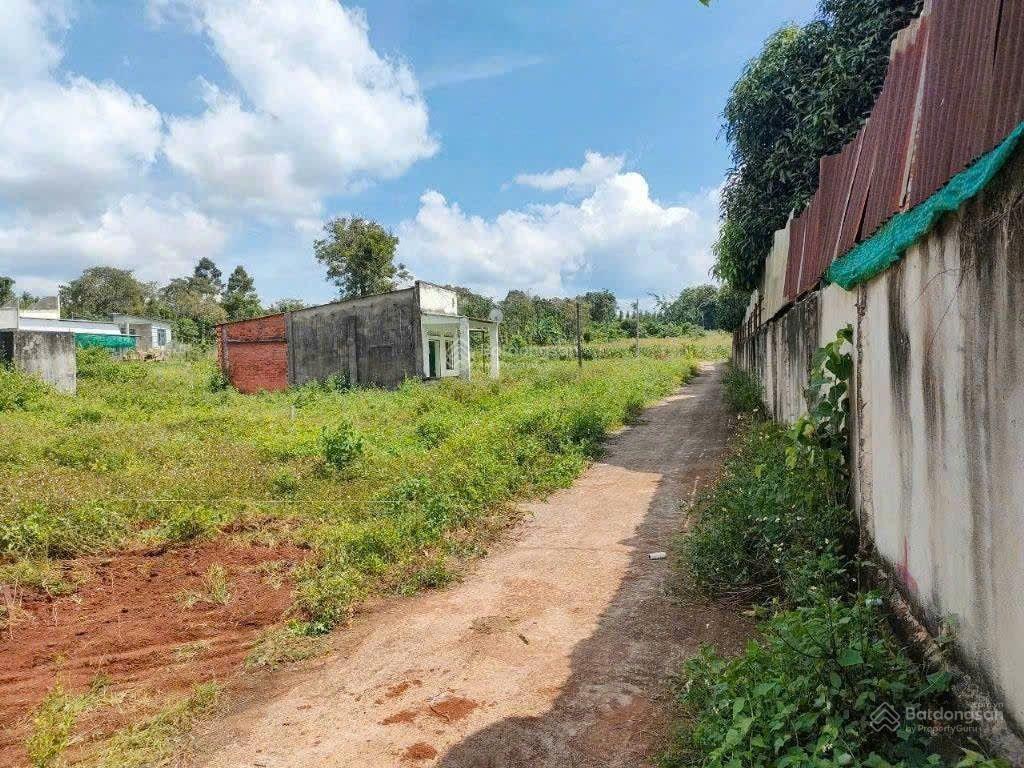 Chỉ 1,9 tỷ sở hữu 3 sổ riêng 1000  1215m2, bàu chinh, châu đức, brvt