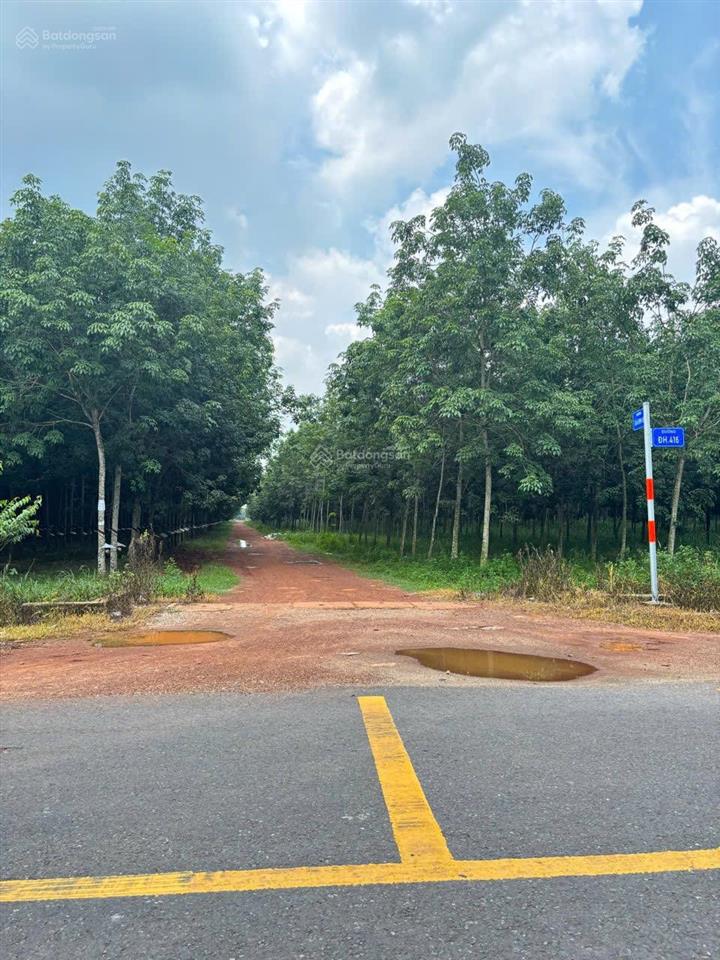 Chính chủ bán quỹ đất lớn đang ngộp chốt nhanh tl  em ngay