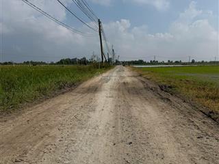 Bán đất 850m2 tại xã bình hòa bắc, huyện đức huệ, long an, 1,8 tỷ