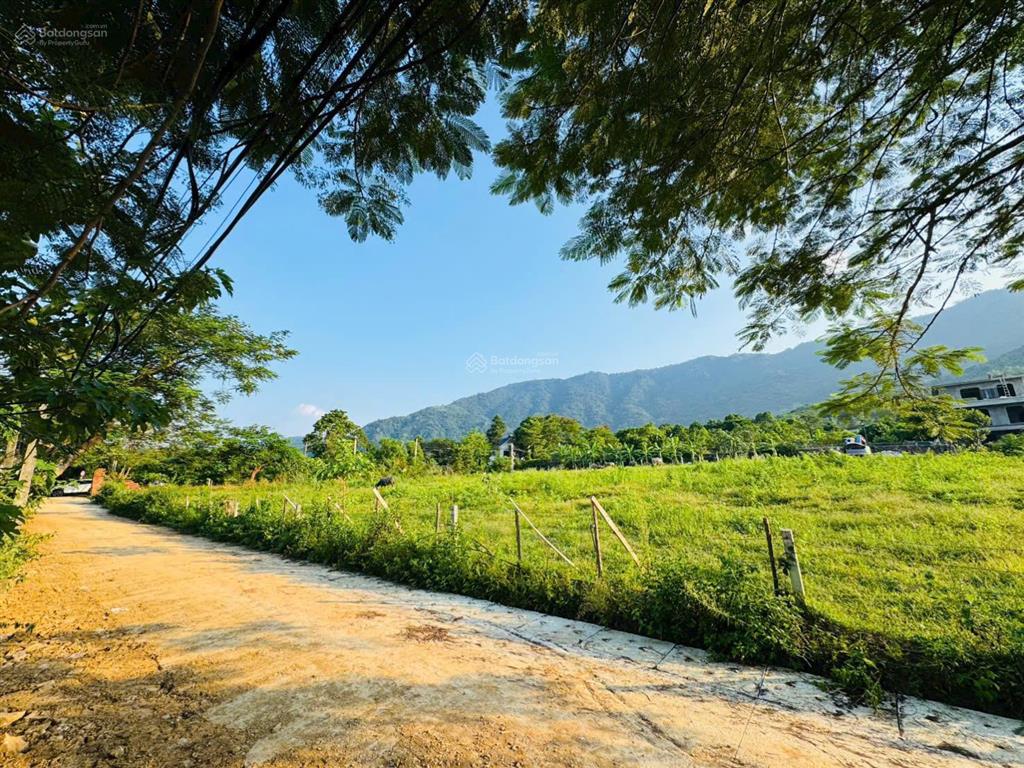 Chỉ 5,5tr/m2 bán lô 1600m/400m2 thổ cư tại yên xuân, hà nội