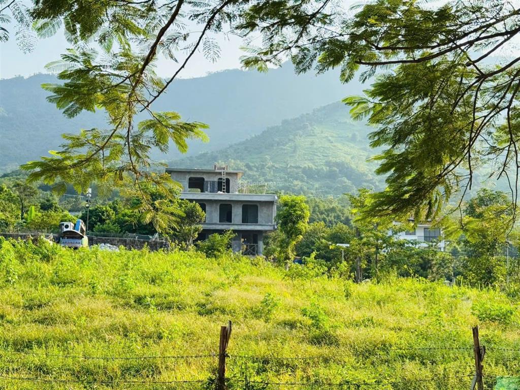 Chỉ 5,5tr/m2 bán lô 1600m/400m2 thổ cư tại yên xuân, hà nội