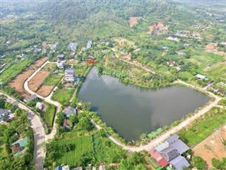 Chủ cần bán đất bám hồ yên bài, ba vì 445m2 mặt tiền