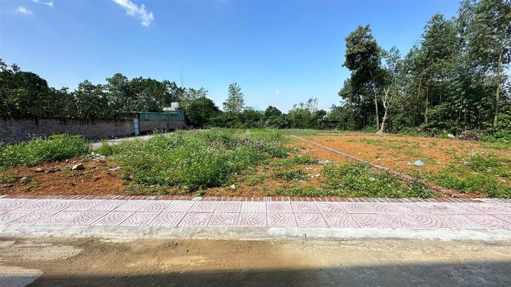 234m ngay sát trục chính vai réo, cách ql chỉ hơn 100m.