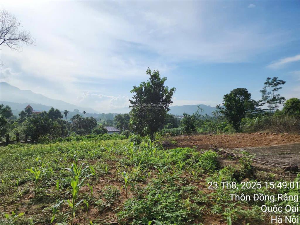 2300m² có 400m² thổ cư lô góc 2 mặt tiền tại yên xuân, hà nội