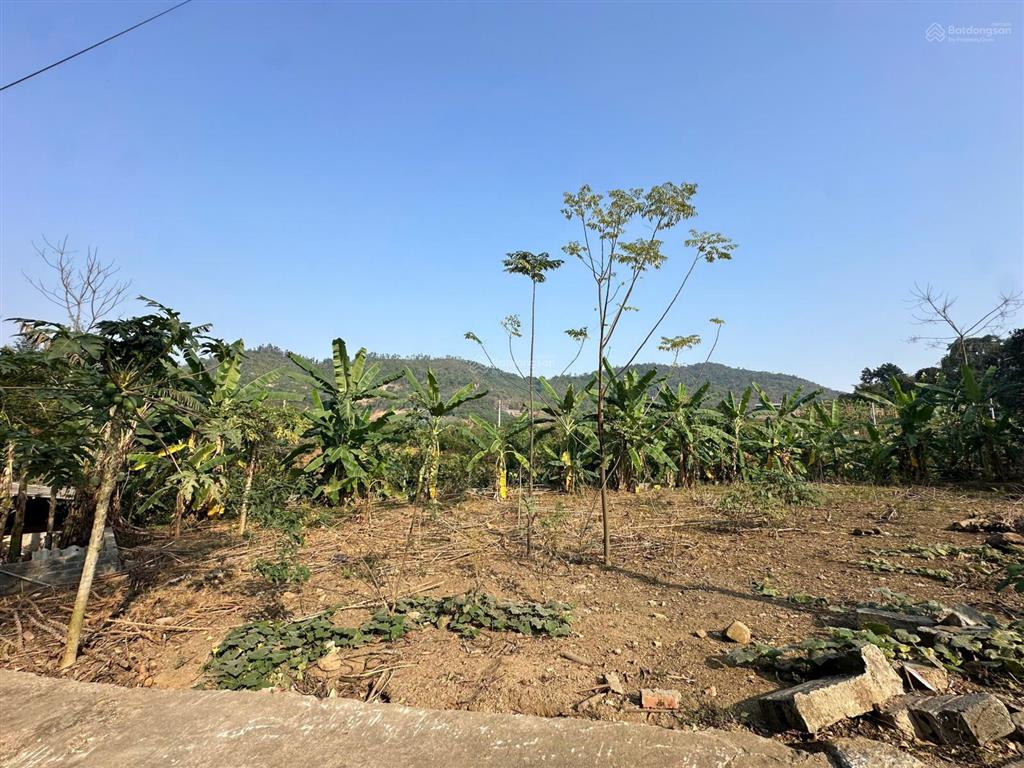 605m/200m thổ cư tại phú cát new, hà nội  bám vành đai 5
