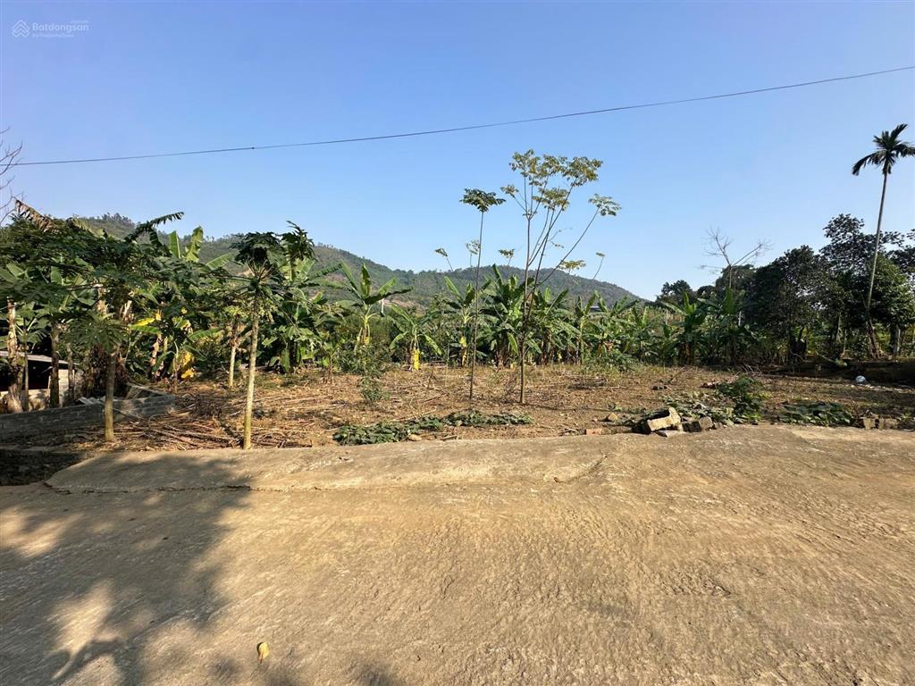 605m/200m thổ cư tại phú cát new, hà nội  bám vành đai 5