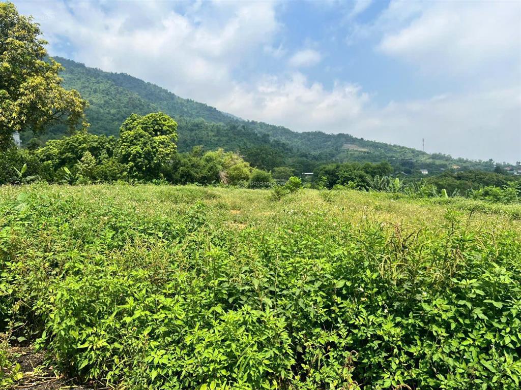 Bán 1430m2/200m2 thổ cư đối diện trường spring hill đông xuân, view đẹp