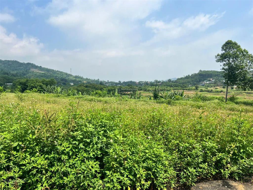 Bán 1430m2/200m2 thổ cư đối diện trường spring hill đông xuân, view đẹp