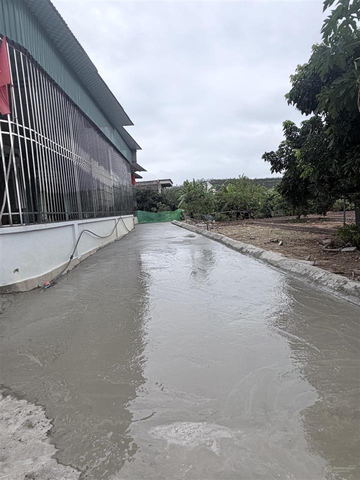 Bán đất nền lõi tại hoàng tân, hà an, quảng yên