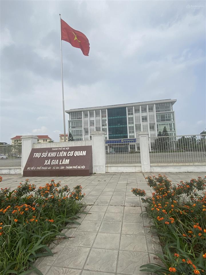 Bán đất tại thành trung, trâu quỳ, 9,6 tỷ, 73 m2, ô tô 7c đỗ cửa, cách 15m ra trục chính 3 ô tô