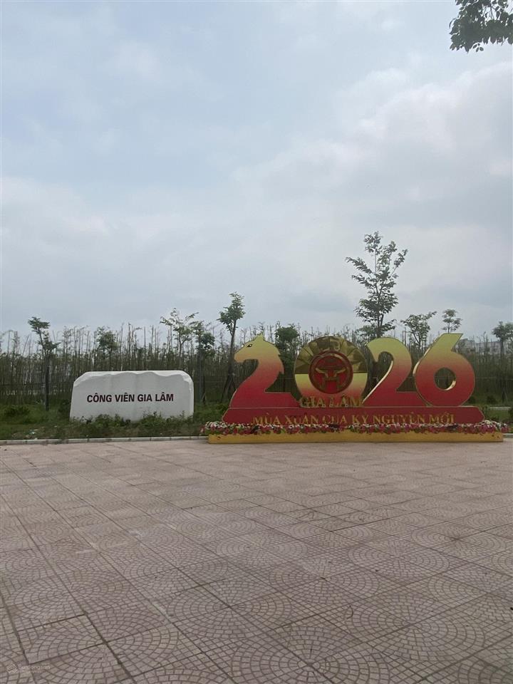 Bán đất tại thành trung, trâu quỳ, 9,6 tỷ, 73 m2, ô tô 7c đỗ cửa, cách 15m ra trục chính 3 ô tô