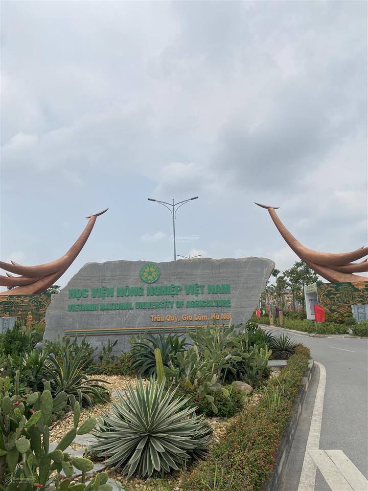 Bán đất trung tâm trâu quỳ, dt 44m2, cạnh trường đhnn1, công viên gia lâm