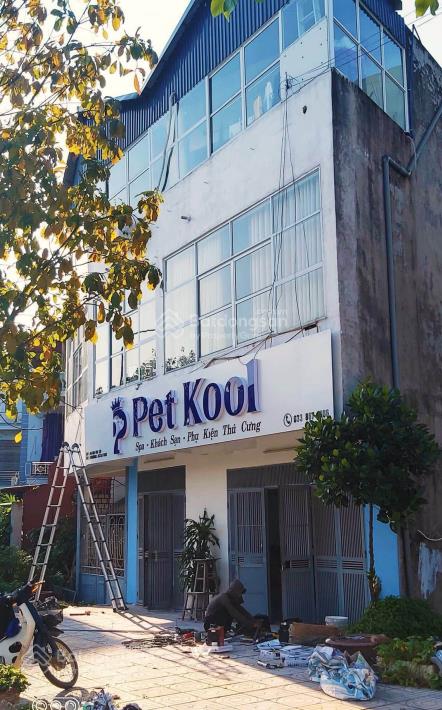 Cho thuê nhà mặt phố đào đình luyện, 100 triệu, 200m2, 3 tầng, đầy đủ nội thất