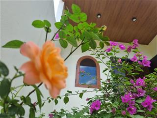 Bán nhà đẹp 110m, trục chính gần hồ, giá tốt hơn 1 tỷ so với hàng xóm