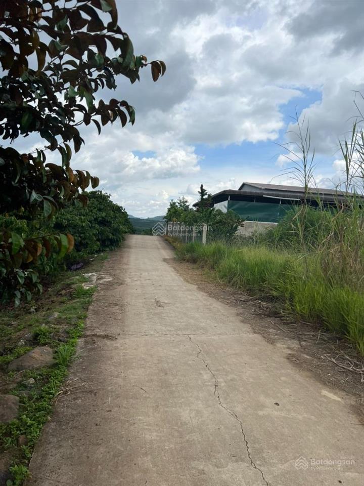 Bán đất 1.670m2 đất vườn có 200m2 thổ cư tại tân hà, lâm hà, lâm đồng, giá chỉ 870tr
