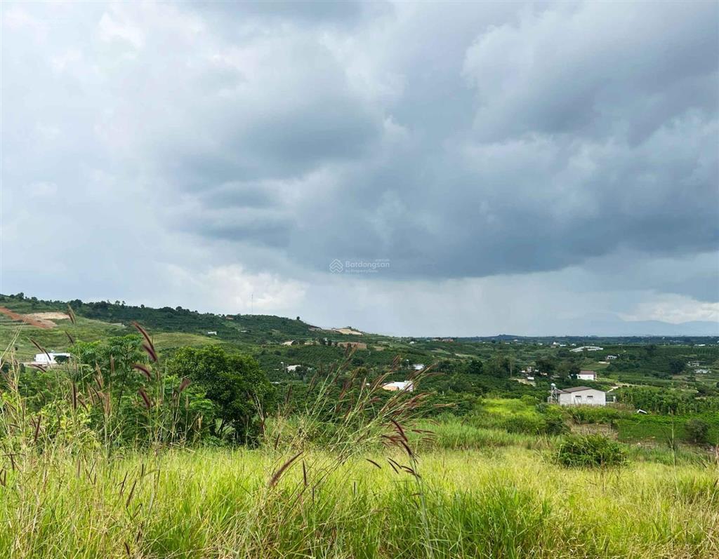 Bán đất 1.670m2 đất vườn có 200m2 thổ cư tại tân hà, lâm hà, lâm đồng, giá chỉ 870tr